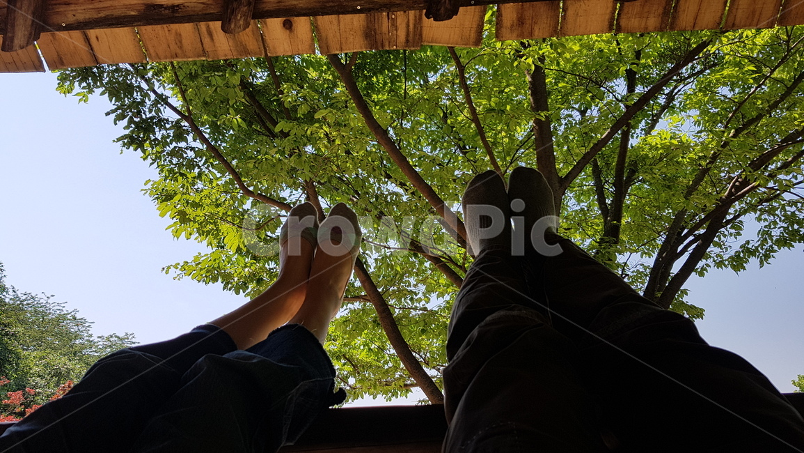 Legs,healing,leg lifting,relaxation,comfort