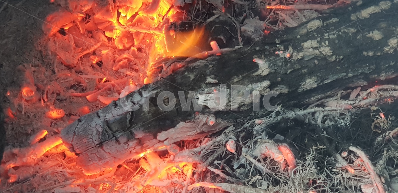 장작,타는나무,불꽃,화재,불,모닥불,캠핑,캠프파이어