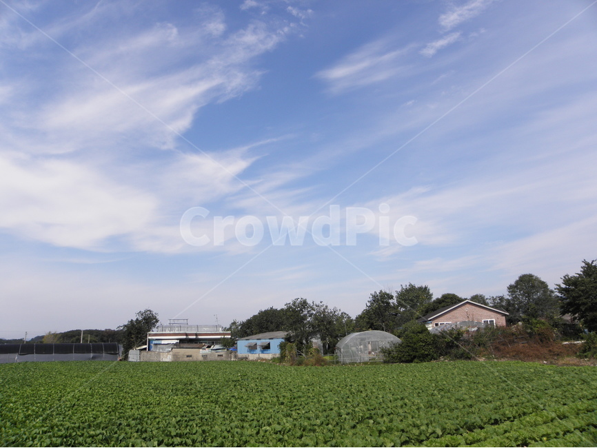 지리산,가을,둘레길,풍경,하늘,자연,풍경,nature,landscape,시골,마을,country,rural,town,outdoors,옥외