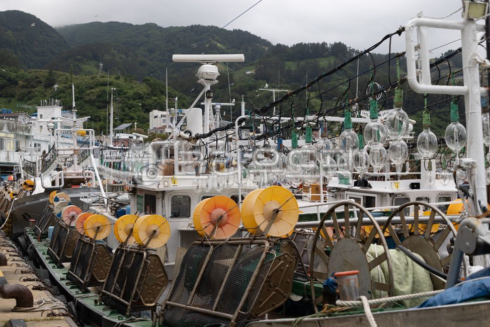 squid fishing,fishing,ship,vessle,Jeodong Port,fishing boat,fishingvessle,squid boat,East Sea,squid back,vessel,ancestral flag,Ulleungdo