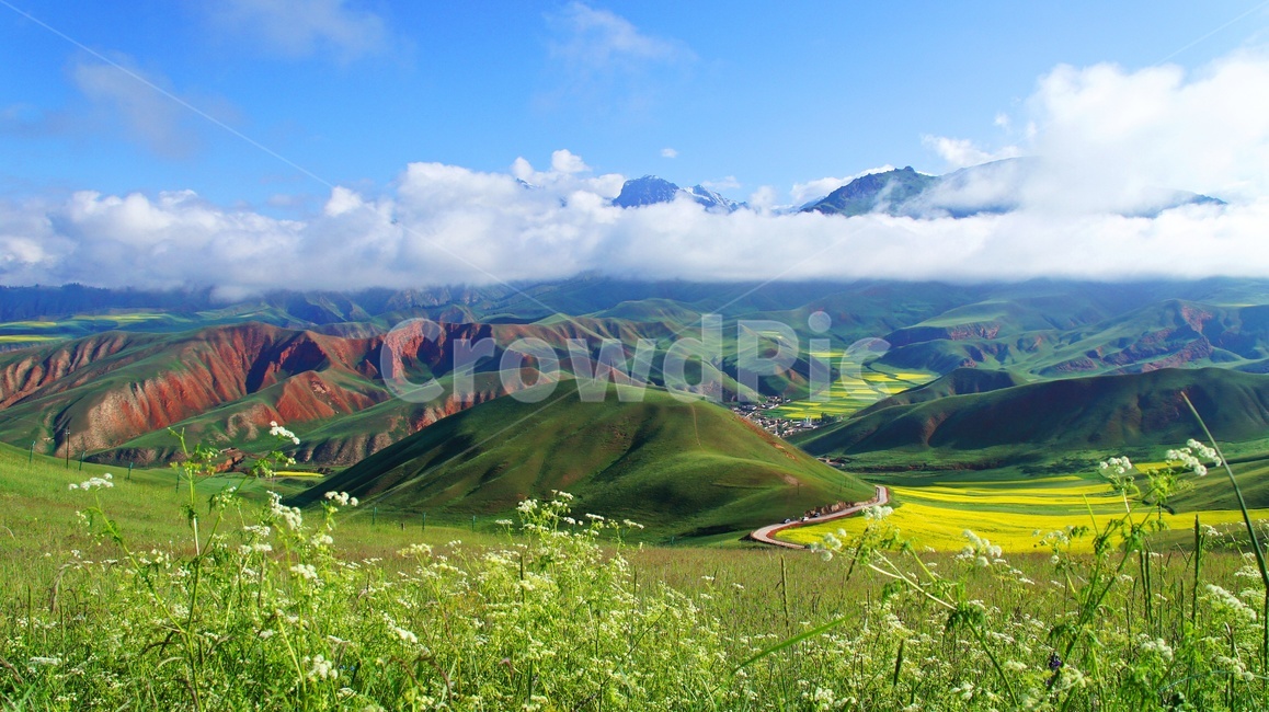 중국,기련현,탁얼산,탁얼산유채,탁얼산운해,nature,자연,outdoors,옥외,mountainrange,산맥,mountain,산,자연,풍경,nature,landscape