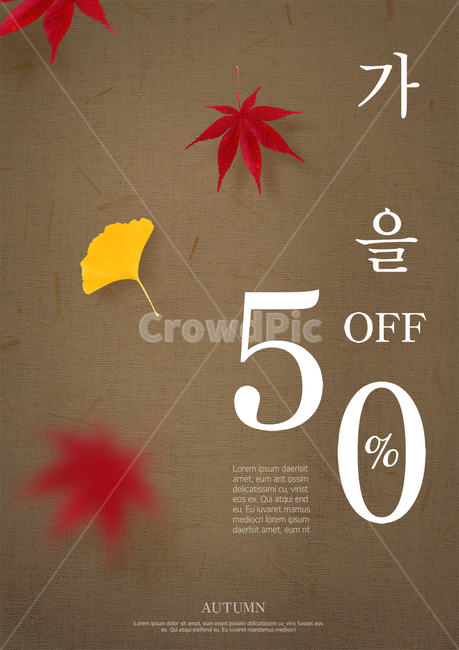 단풍,은행잎,단풍잎,가을,표지,전단지,브로슈어,카달로그,가을,계절,fall,autumn,season,축제,행사,festival,carnival,event,쇼핑,shopping,그래픽,일러스트레이션,graphic,illustration,plant,식물,leaf,잎