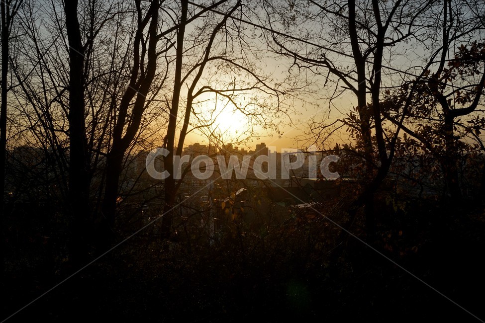가을,계절,석양,서쪽하늘,나무,햇빛,자연,nature,sunset,sky,west,trees,season,sun,자연,풍경,nature,landscape,flare,플레어,light,빛,outdoors,옥외,dusk,황혼,일몰,하늘,dawn,새벽,red sky,붉은 하늘,sunlight