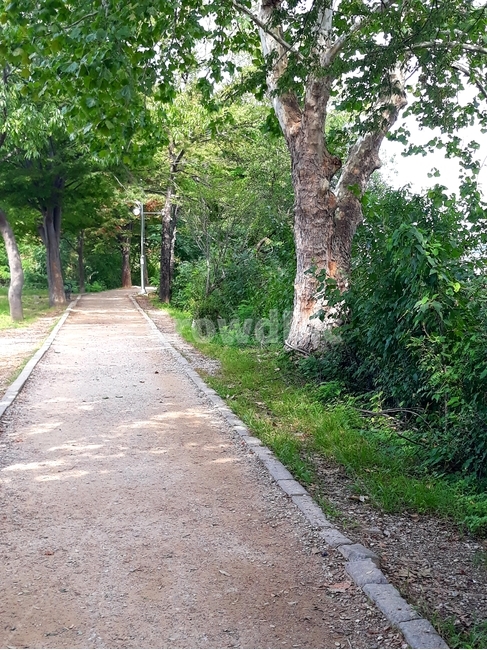 road,도로,gravel,자갈,흙길,dirtroad,자연,풍경,nature,landscape,나무,trees,wood,dirt road