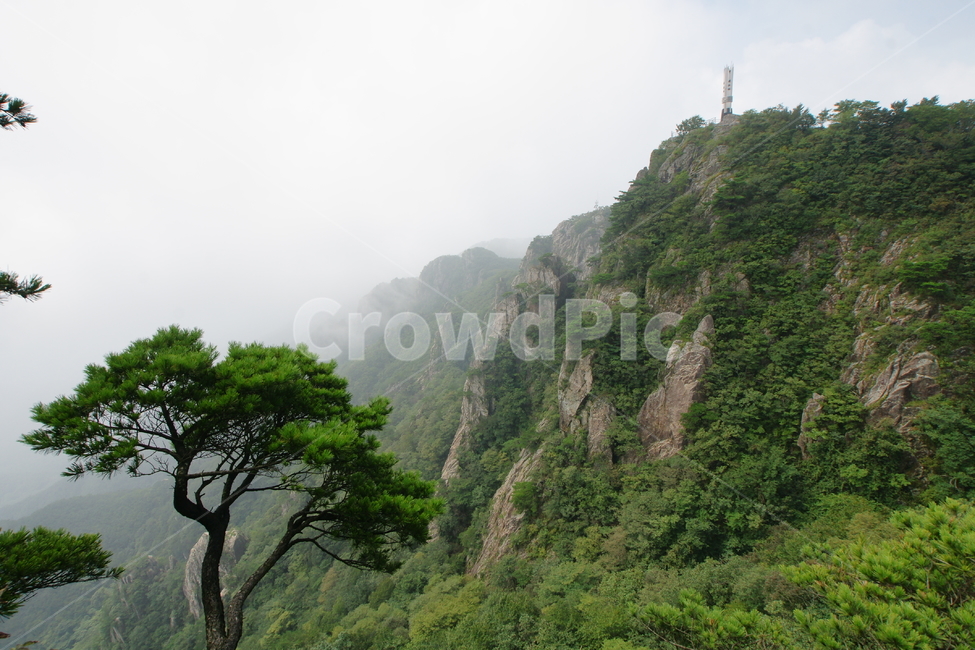 대둔산,소나무,풍경,신록,완주,자연,풍경,nature,landscape,한국자연풍경,한국자연경관,korea nature landscape,outdoors,옥외,cliff,낭떠러지