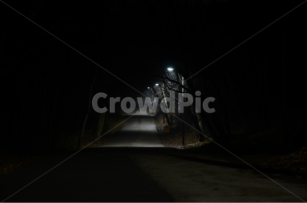 야경,조명,공원,밤,월명,자연,풍경,nature,landscape,야경,밤,nightscape,night