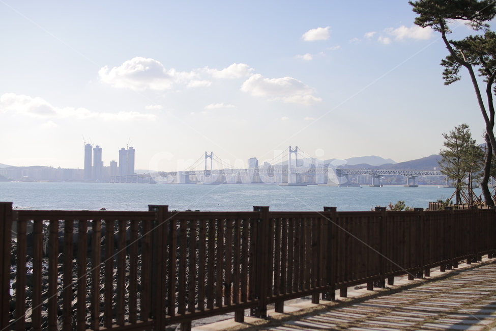 부산,바다,광안대교,산책로,동백섬,하늘,구름,도시,풍경,city,landscape,한국도시풍경,한국도시경관,korea cityscape,railing,난간,handrail,banister