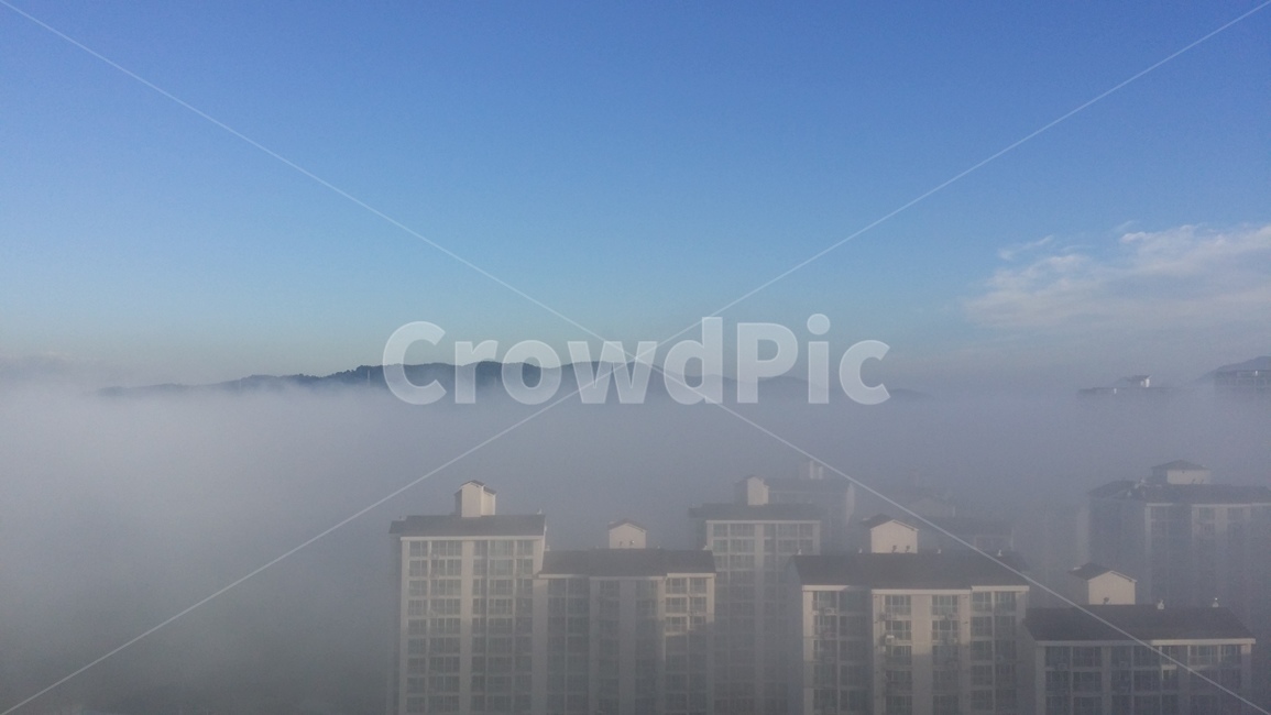 하늘,안개,아파트,도시,아침,도시,풍경,city,landscape,nature,자연
