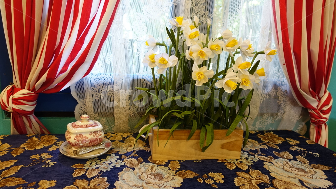 cafe,카페,beverage,음료,drink,plant,식물,수선화,홍차,tea
