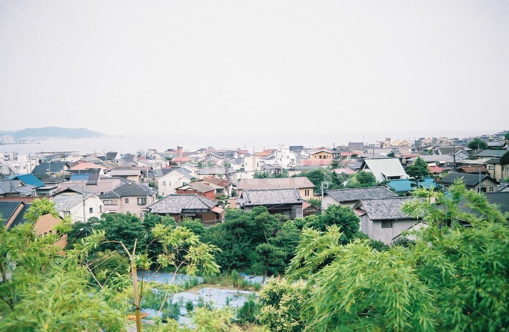 일본,에노시마,관광지,관광,풍경,경치,에노시마마을,마을,일상,바닷가,바닷가마을,필름,필름카메라,감성,시골,마을,풍경,landscape,country,rural,town,해외,외국,세계,foreign,oversea,world