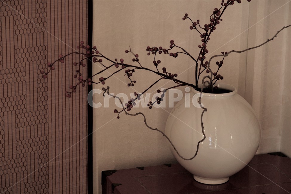고풍,전통,백자,인테리어,실내,장식,한국전통,한국문화,korean traditional,korean culture,식물,자연,plants,nature,실내용화초,화분,화초,house plant,인테리어,실내디자인,interior design