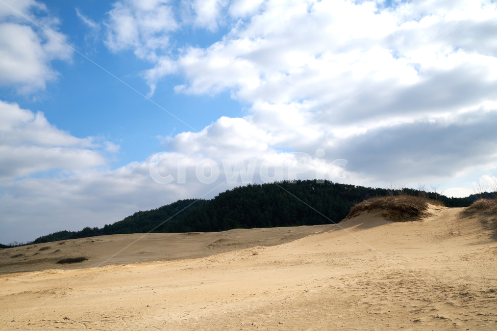 신두사구,해안사구,태안군,모래,사구,충남,한국,신두리해안사구,태안신두리해안사구,모래언덕,관광지,풍경,자연,실외,구름,하늘,자연,풍경,nature,landscape,soil,흙,sand,outdoors,옥외,dune,모래 언덕