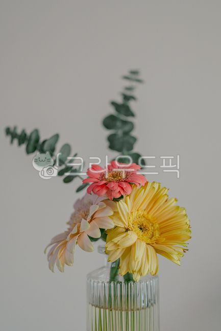 flower,flower,vase,flower,vase