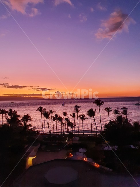 하와이,붉은노을,자연,마우이,뷰,호텔,리조트,일몰,노을,tree,sea,구름,hawaii,maui,westinmaui,야경,sunset,바다,nature