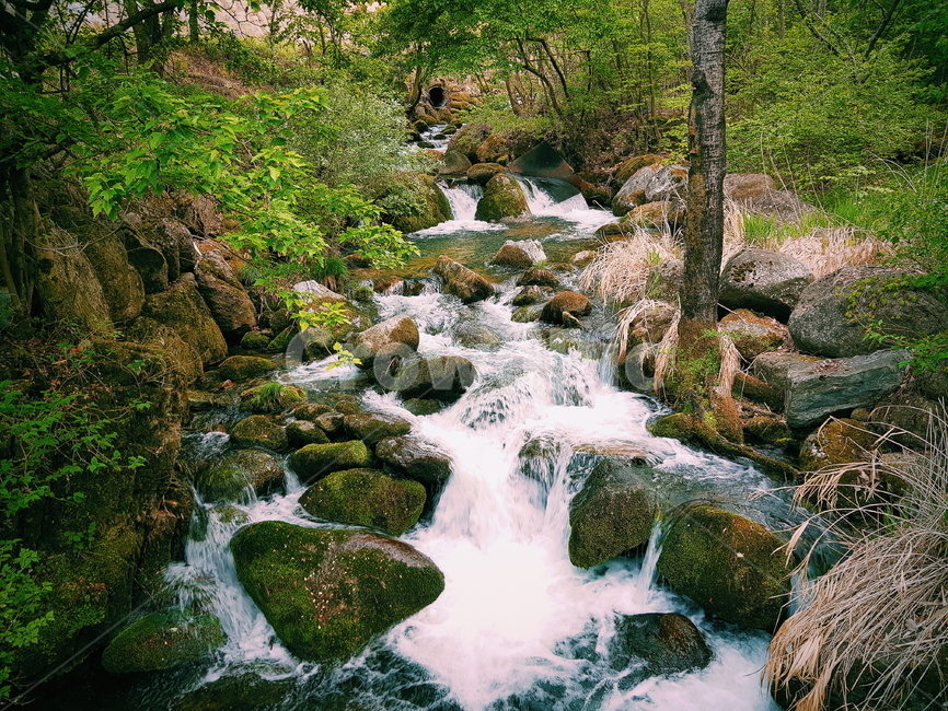 water,물,nature,outdoors,옥외,자연,풍경,nature,landscape