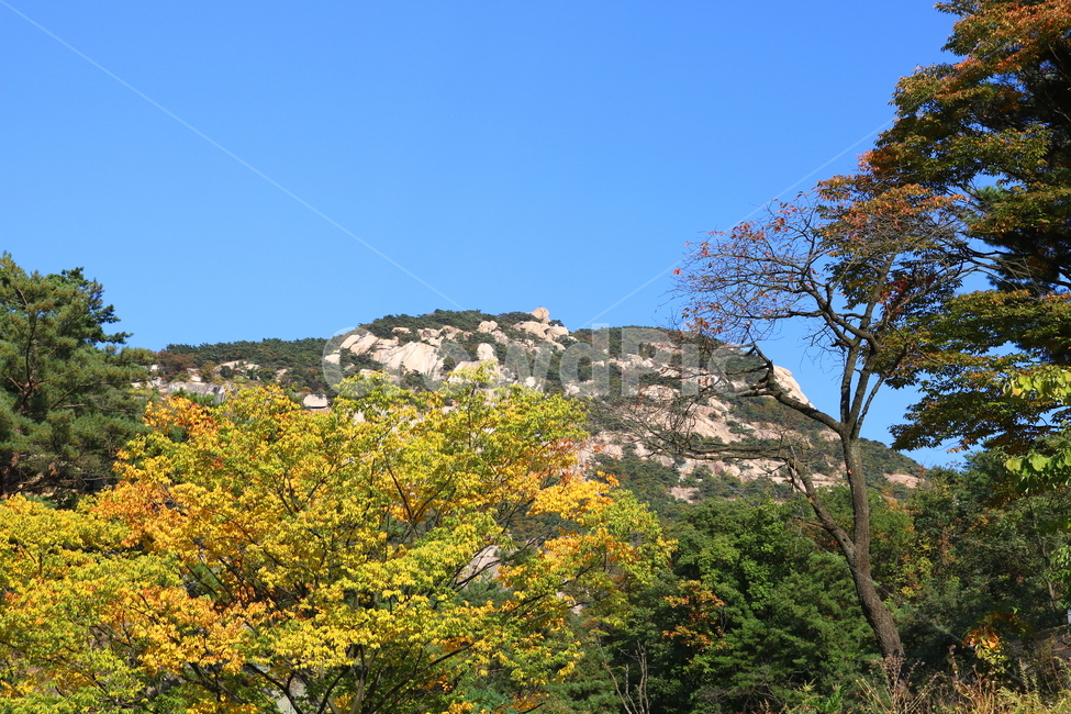 북한산,산,자연,풍경,나무,공원,국립공원,산책로,등산로,원효봉,북한산국립공원,하늘,맑은하늘,식물,자연,풍경,nature,landscape