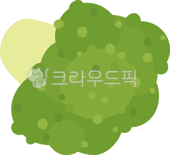 야채,음식,샐러드,브로콜리,먹을것