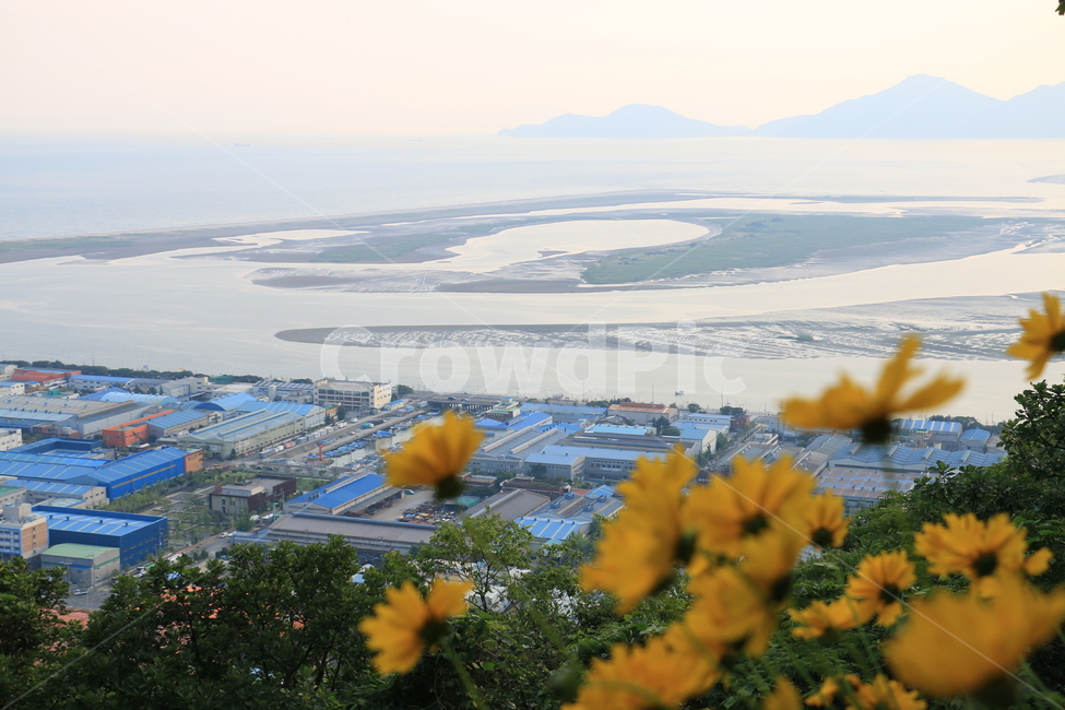 자연,풍경,초록,아미산,금계국,모래톱,도시,풍경,city,landscape,한국도시풍경,한국도시경관,korea cityscape,nature,경치,outdoors,옥외,scenery,aerial view,조감도,panoramic,파노라마