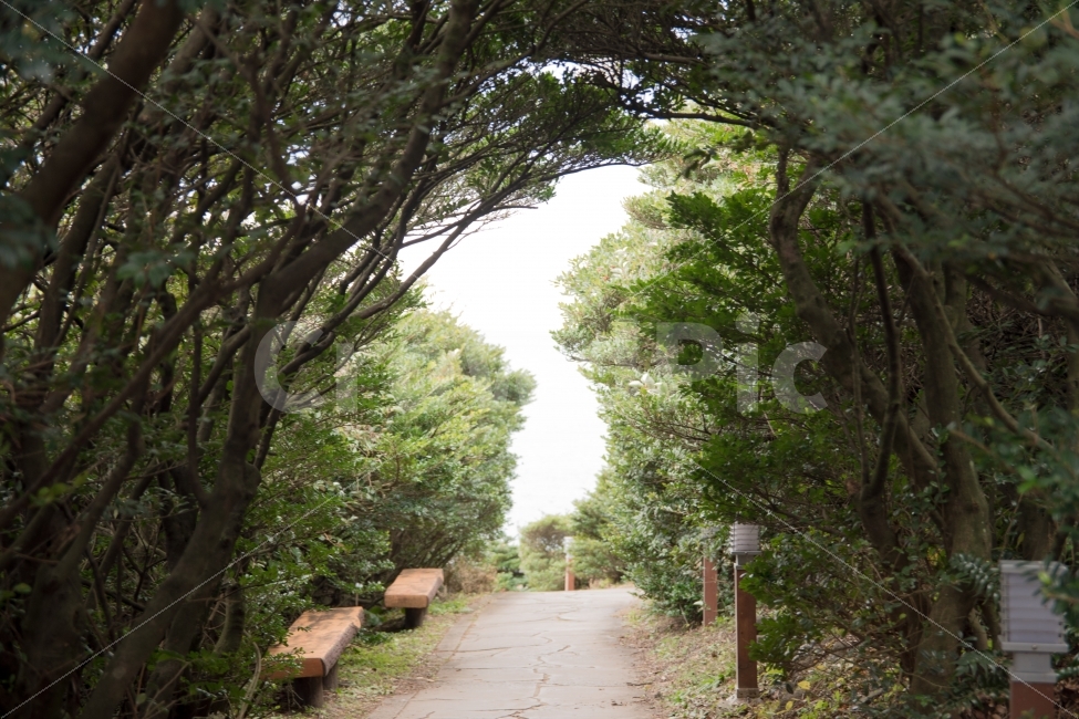 제주,올레길,지도,한반도,여행,자연,풍경,nature,landscape,outdoors,옥외,garden,정원,arbour,정자