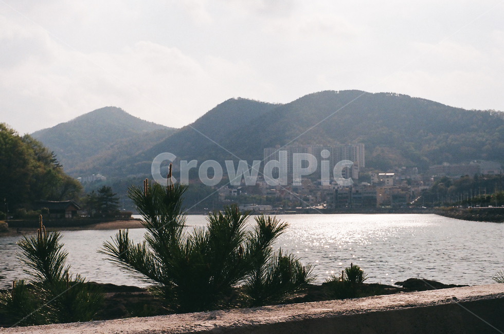 풀,나무,호수,강,필름,자연,풍경,nature,landscape,outdoors,옥외,promontory,곶