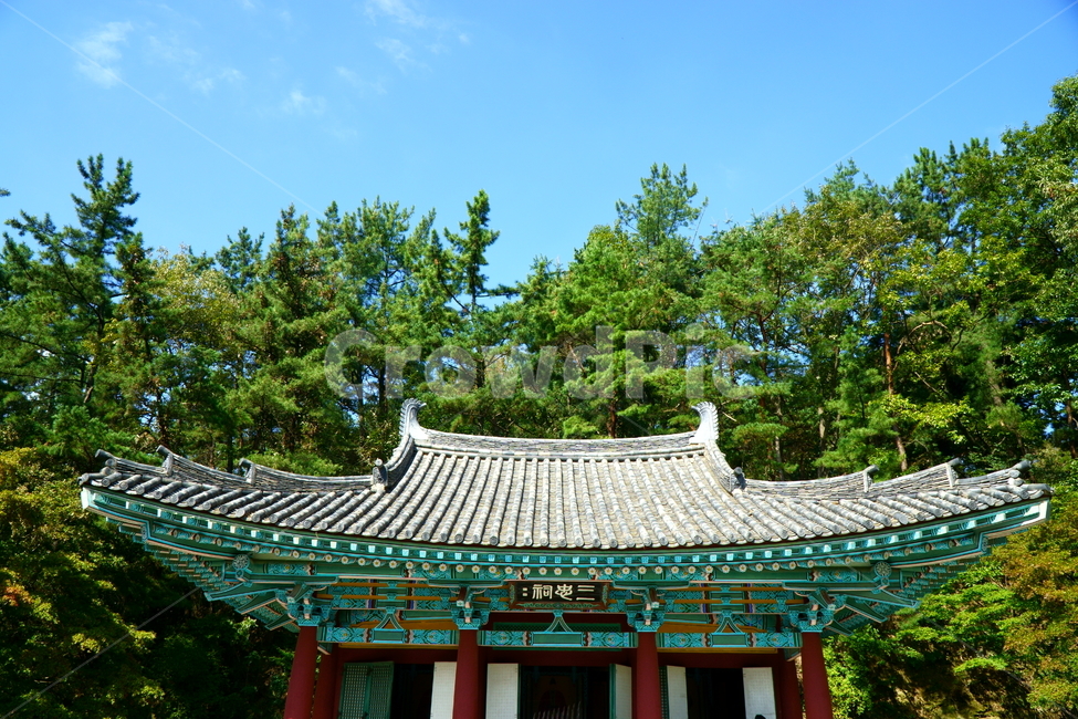 단청,한옥,기와,전통,한국문화,부여,백제,한국전통,koreaculture,삼충사,pagoda