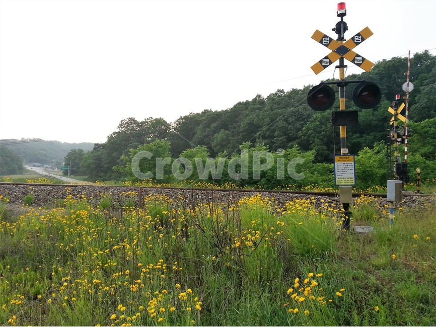 풍경,기차,기찻길,철길,시골,시골풍경,신호,감성,여행,교통,교통수단,traffic,transportation,grassland,목초지,field,들,outdoors,옥외