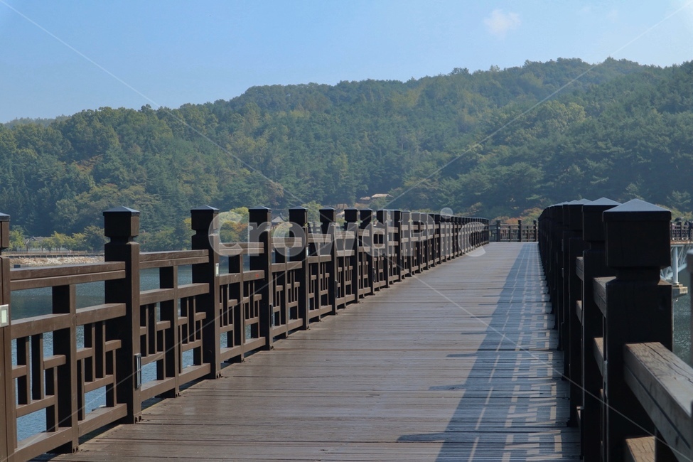 월영교,안동,다리,산책로,산책,bridge