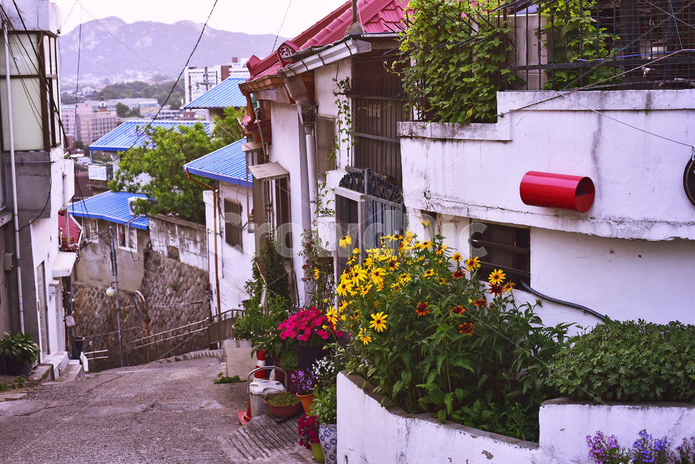 달동네,재개발,빈민촌,집,하우스,서민,anoldhouse,village,poorhillsidevillage,poor,house,건축물,오래된,빈티지,가난,삶,마을,낡은,서울