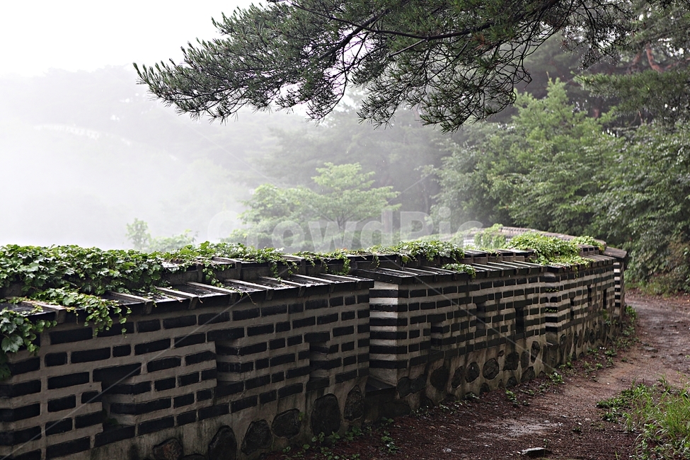 남한산성,성,성곽,길,둘레길,숲,숲길,안개,벽,방어벽,돌담,담,여름,풍경