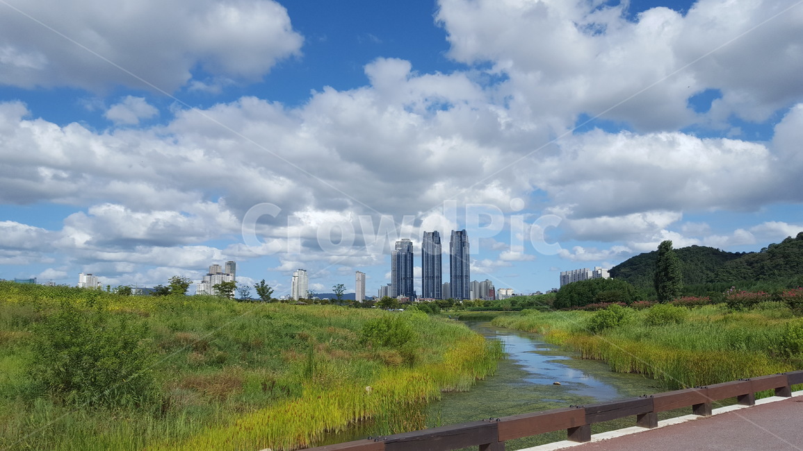 울산,태화강,공원,여름,맑음
