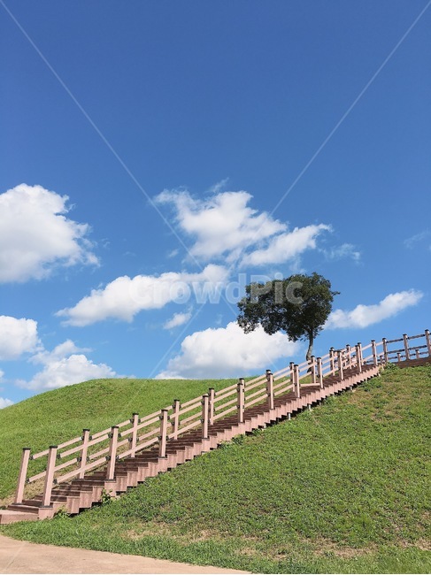 field,들,outdoors,옥외,grassland,목초지,nature,자연
