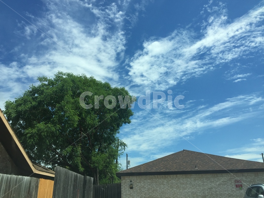 nature,자연,outdoors,옥외,텍사스,texas,하늘,sky,구름,cloud