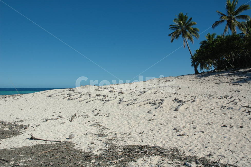 섬,백사장,모래사장,피지,모누리키,영화촬영지,캐스트어웨이,island,fiji,monuriki,castaway,휴양지,휴가,바다,vacation,자연,풍경,nature,landscape,해외,외국,세계,foreign,oversea,world,세계자연풍경,해외자연풍경,외국자연풍경,world nature landscape,soil,흙,outdoors,옥외,sand,모래