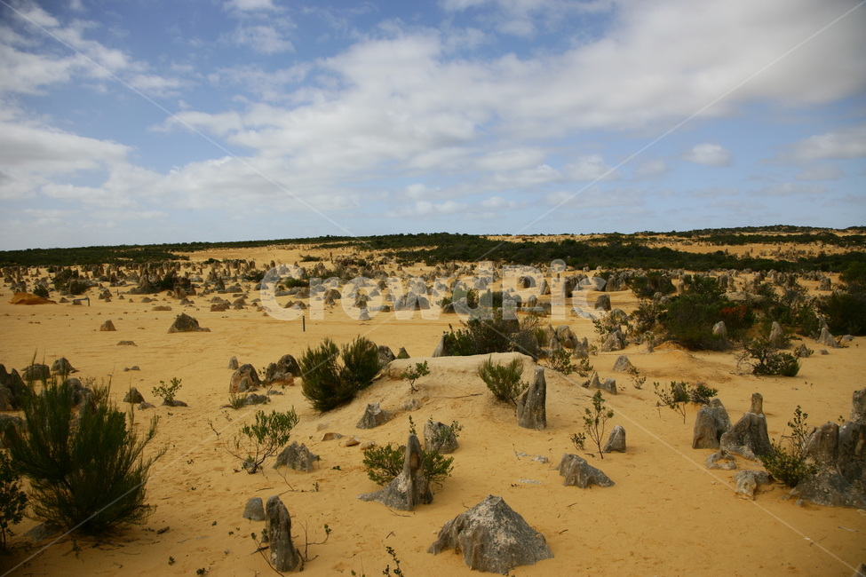 soil,흙,nature,자연,outdoors,모래,sand,옥외,사막,황량한,피나클로사막,퍼스,자연,풍경,nature,landscape,해외,외국,세계,foreign,oversea,world,세계자연풍경,해외자연풍경,외국자연풍경,world nature landscape