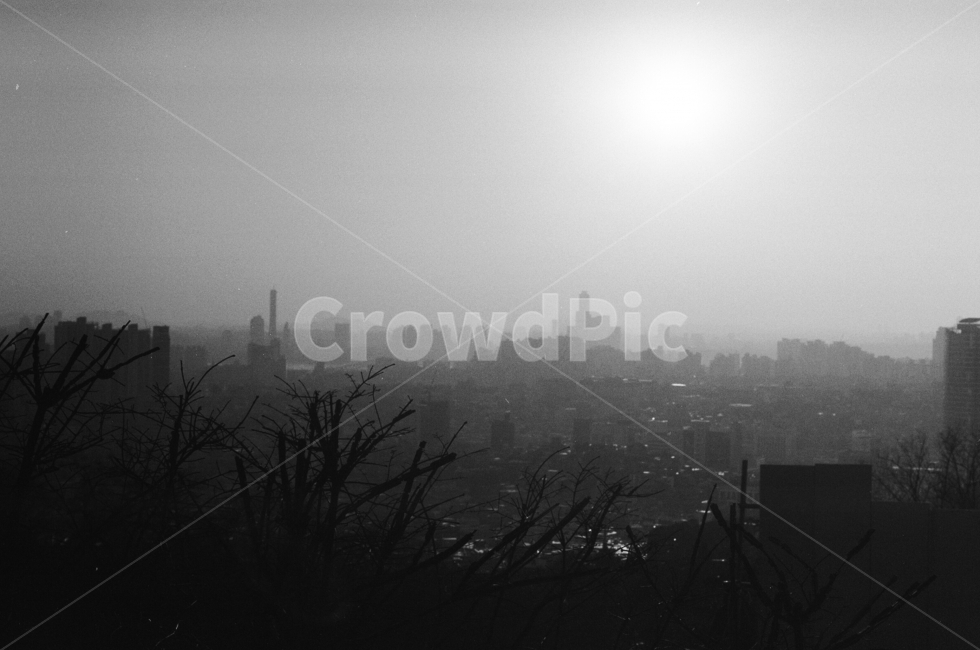필름사진,흑백,흑백사진,역광,해질녘,아날로그,필름,film,blackandwhite,analog,도시,풍경,city,landscape,흑백,모노톤,monochrome,black and white,nature,자연
