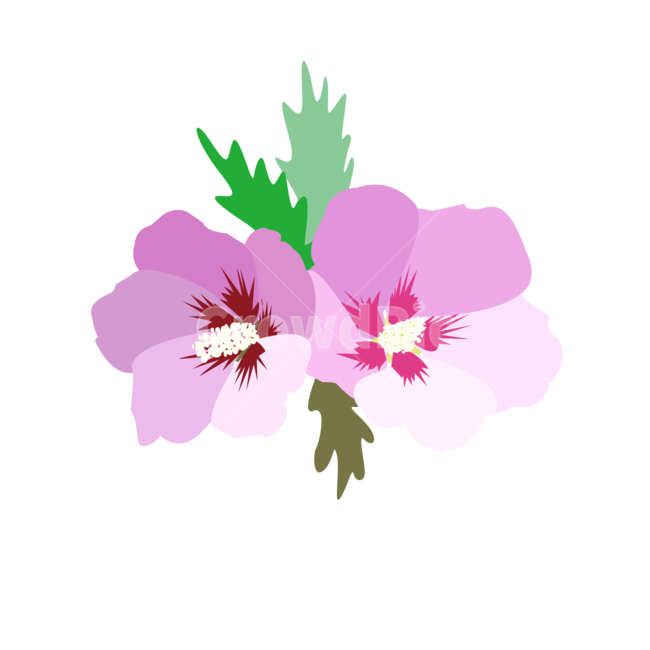 무궁화,핑크,국화,꽃,잎,일러스트,삽화,일러스트레이션,봄,자연,식물,nature,flower,전통적인,한국,디자인,디자인소스,아이콘,광복절,그래픽,무궁화일러스트,무궁화그림,누끼,remove background