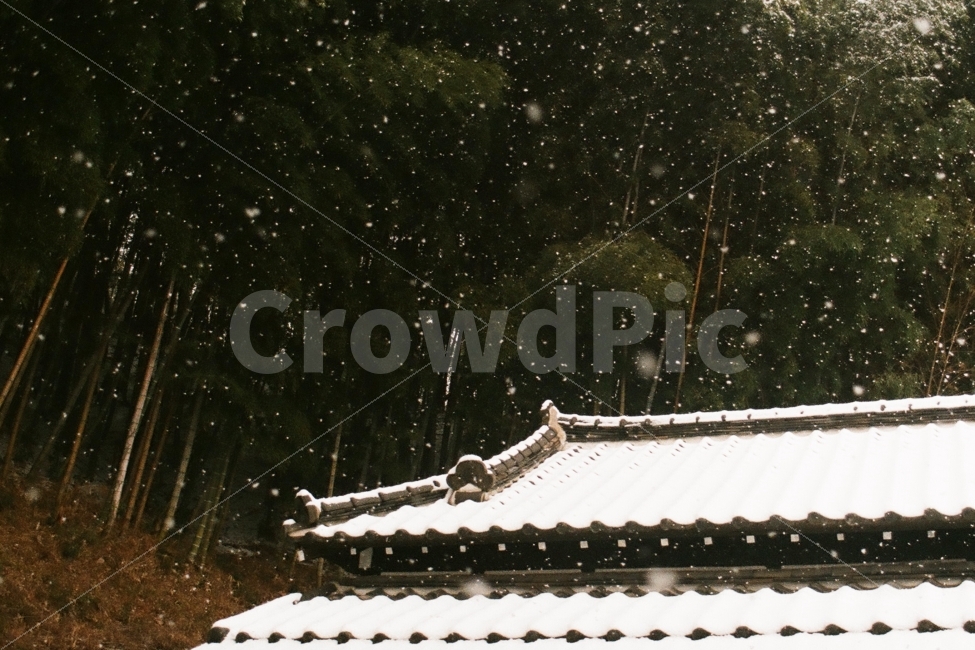 동국사,일본식사찰,사찰,절,눈,필름사진,겨울,계절,winter,season,랜드마크,landmark,tourist attraction,종교,신앙,religion,belief,faith,감성,sensible,feeling