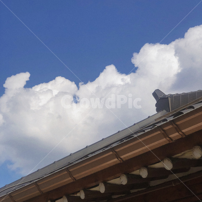 옥외,outdoors,기와,한옥,구름,하늘,꽃,sky,cloud,flower,지붕,roof