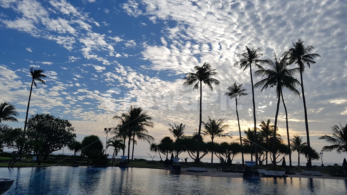 노을,휴양지,여름,야자수,하늘,구름,자연,풍경,nature,landscape,summer,tree,나무,plant,식물,palm tree