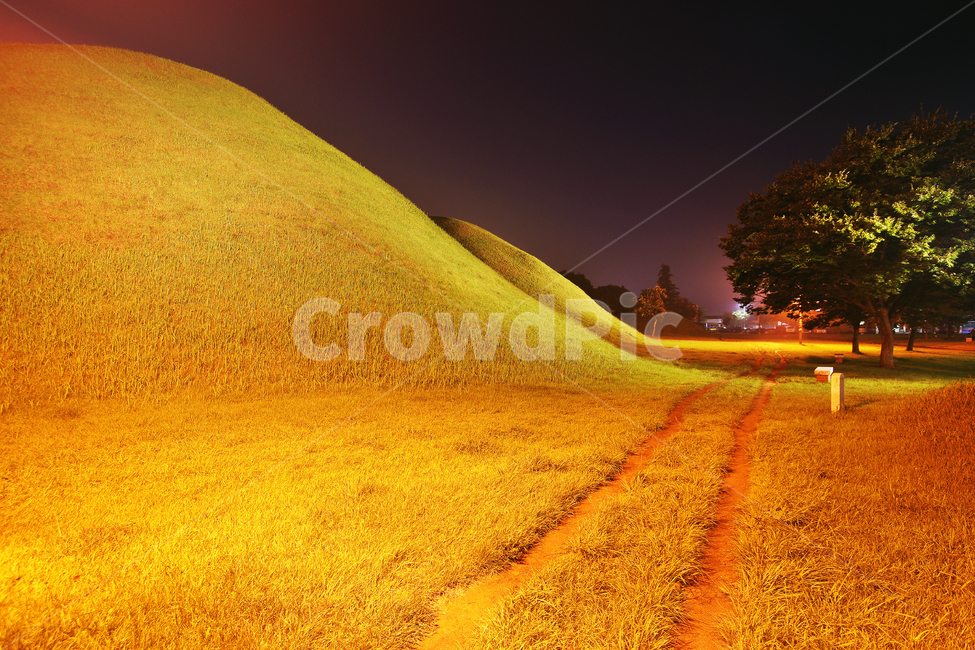 노서리고분군,경주,신라,왕실,무덤,왕릉,야경,밤,풍경,nightscape,night,landscape,랜드마크,landmark,tourist attraction,한국랜드마크,한국관광지,한국명소,korea landmark,korea tourist attraction,nature,자연,outdoors,옥외