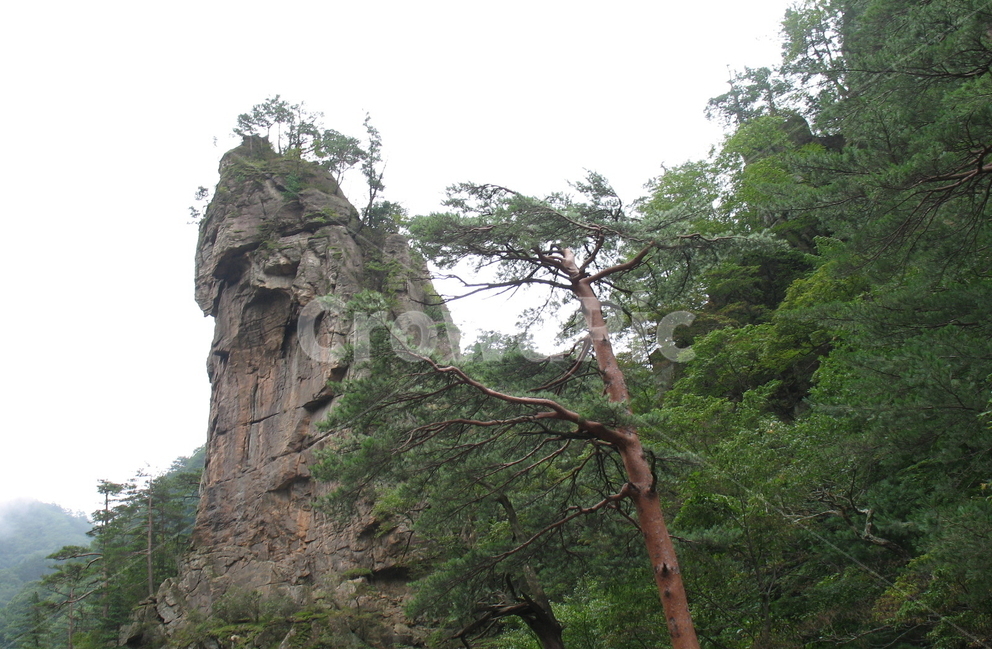 오대산,소금강,만물상,귀면암,작은금강산,자연,풍경,nature,landscape,한국자연풍경,한국자연경관,korea nature landscape,식물,plants,나무,trees,wood,outdoors,옥외,cliff,낭떠러지