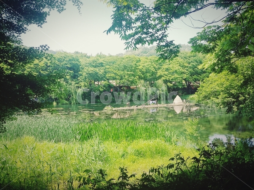 하천,연못,풍경,한국민속촌,여름