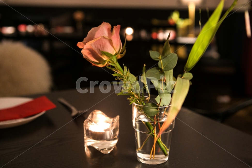 꽃,초,플레이팅,접시,레스토랑,카페,테이블,밤,음식점,식물,자연,plants,nature,꽃,flower,실내용화초,화분,화초,house plant,인테리어,실내디자인,interior design