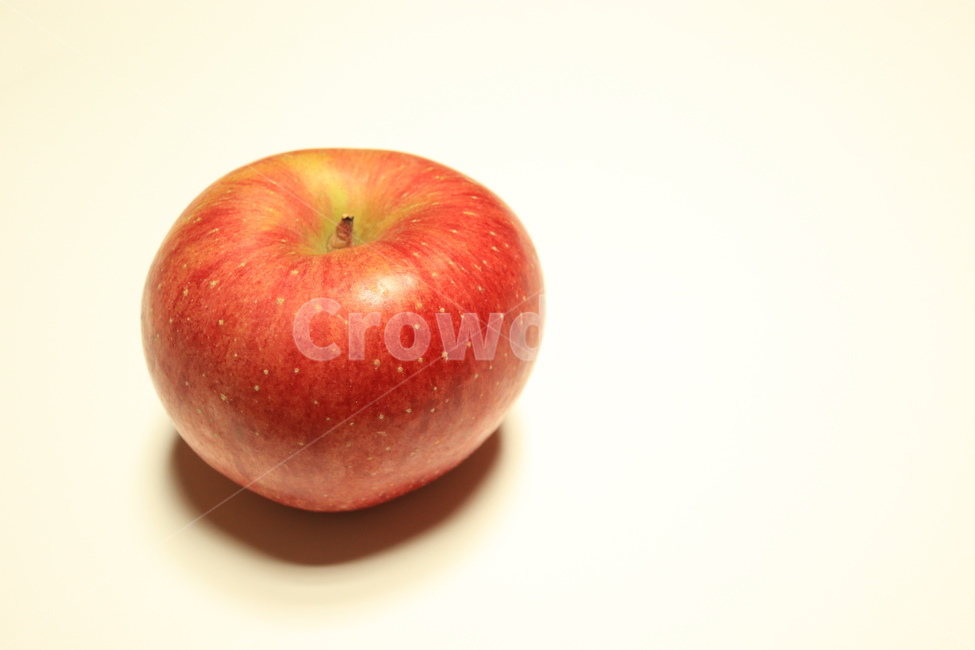 과일,fruit,plant,식물,apple,사과,음식,food