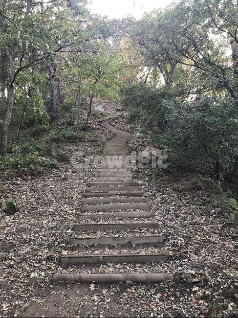 등산,산,계단,산길,등산로,자연,풍경,nature,landscape,gravel,자갈,dirt road,흙길,road,도로,ground,바닥,path,통로,slate,슬레이트