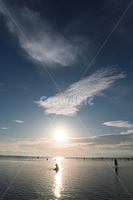 다대포해수욕장,석양,노을,바다,풍경,배경,자연,nature,사람,human,인간,sunlight,햇빛,light,빛,구름,하늘,자연,풍경,nature,landscape