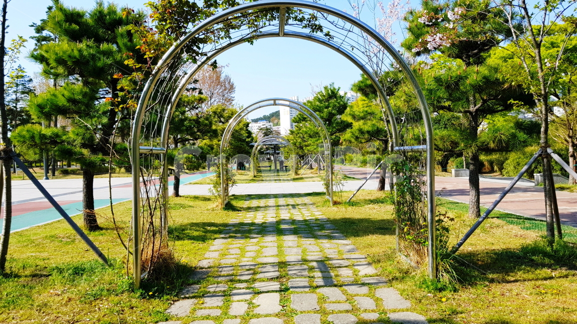 아치,정원,가든,공원,산책