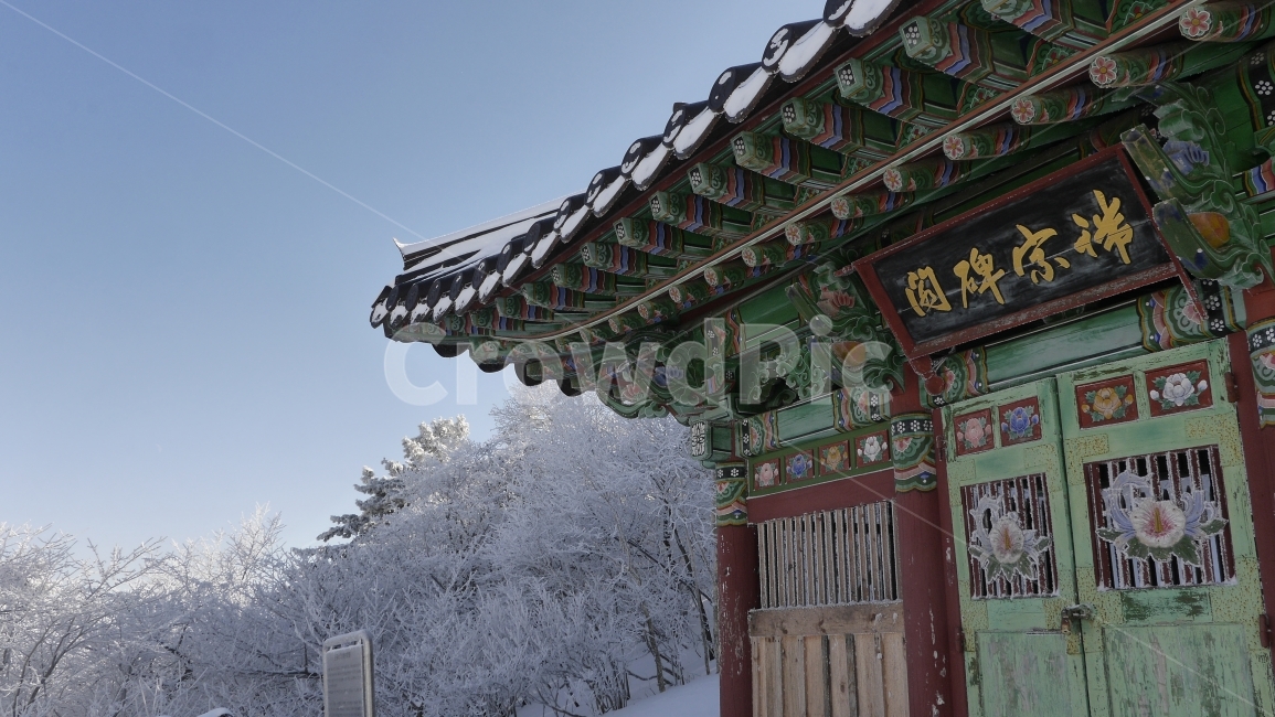 눈꽃,겨울산,태백산,사찰,절,한국,여행,겨울,자연,풍경,겨울,계절,winter,season,한국전통,한국문화,korean traditional,korean culture,종교,신앙,religion,belief,faith,건축물,건물외관,exterior,building,structure,architecture,construction