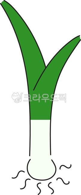 파, 채소, 야채, 대파, 쪽파, 사진,이미지,일러스트,캘리그라피 - 돈그림작가