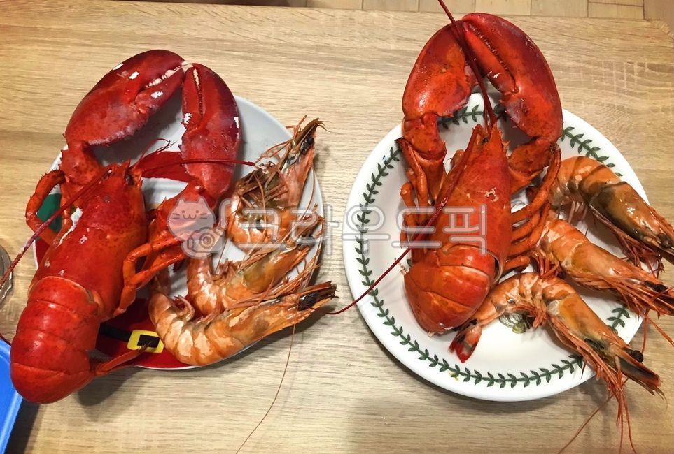 랍스터, 가재, 해물, 해산물, 새우, 사진,이미지,일러스트,캘리그라피 - 먹방작가